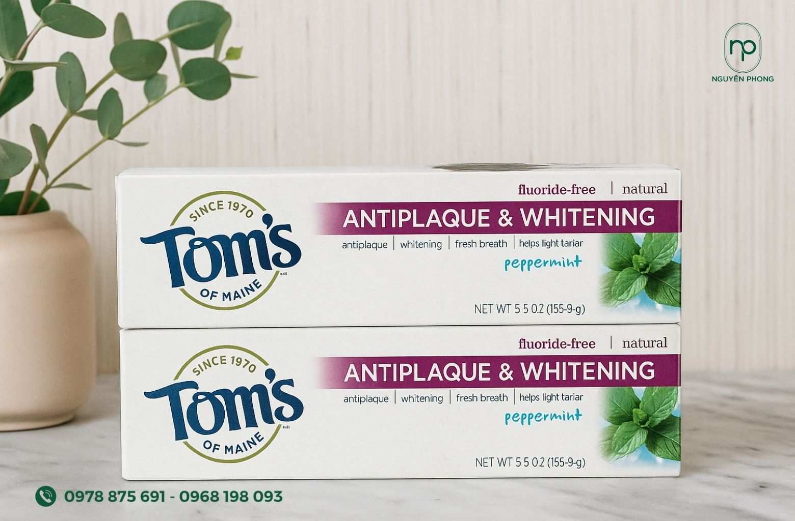 Hộp giấy đựng kem đánh răng ấn tượng
